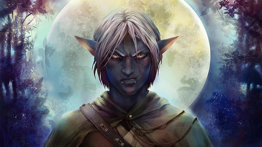 Male Elf HD Wallpaper | Pxfuel