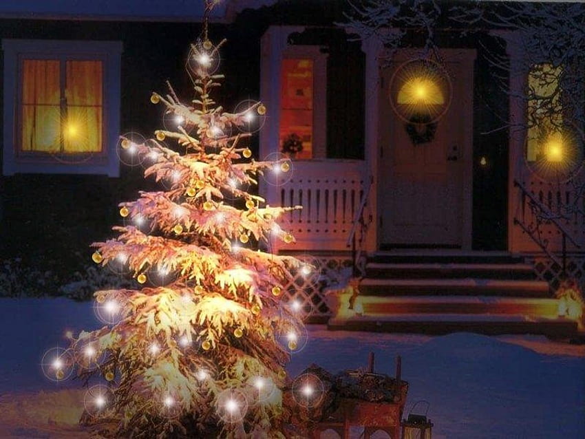 Weihnachtsbaum, Winter, Urlaub, Licht, Schnee, Weihnachten, Baum HD-Hintergrundbild