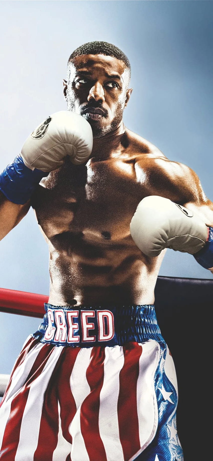Film Creed II, Creed Boxing Fond d'écran de téléphone HD