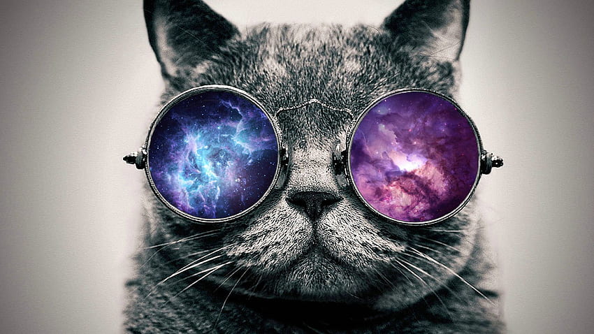 Katze mit Brille, Brille Cat Galaxy HD-Hintergrundbild