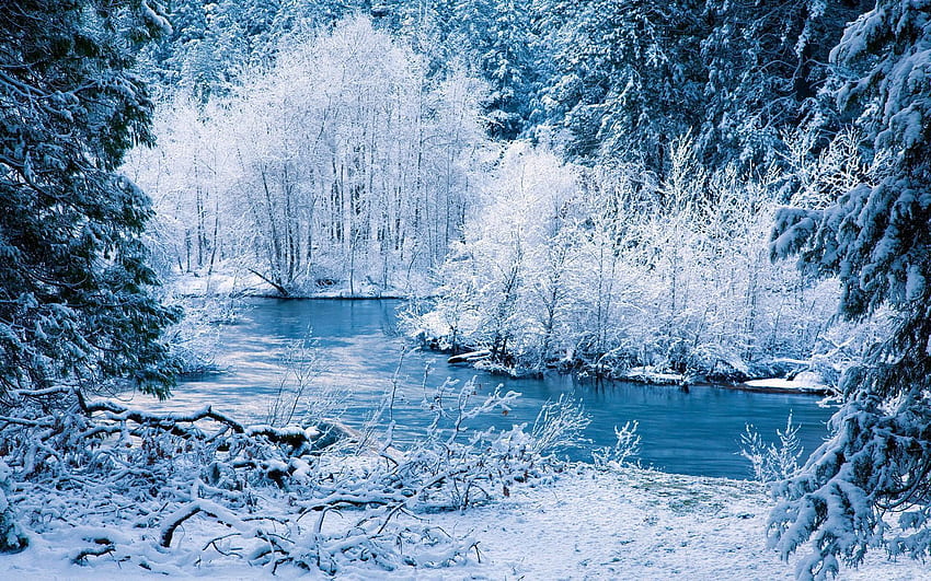 경치, 겨울, 자연, 하천, 나무, 눈 HD 월페이퍼