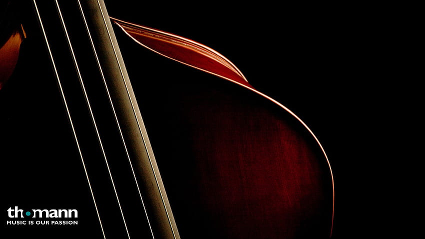 Thomann Thomann United States [] for your , Mobile & Tablet. Explore Double Bass . Double Bass , Double , Double Helix HD wallpaper