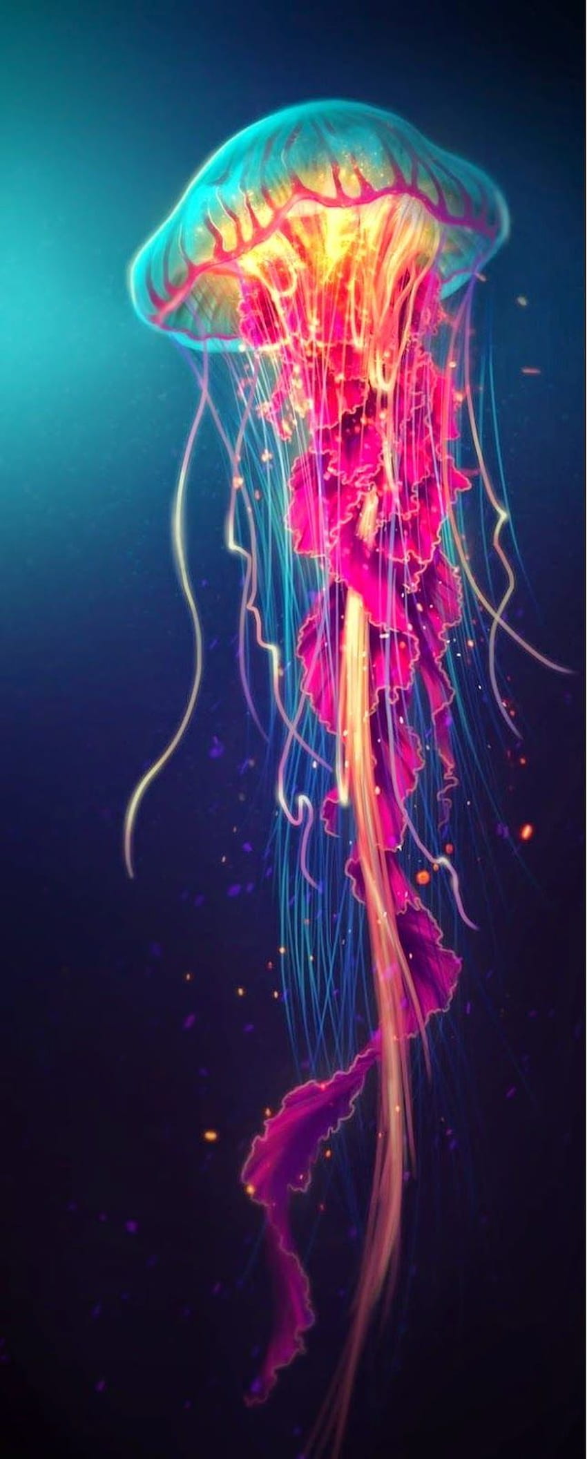 Amazing colors in this Jellyfish Art. Jellyfish art, Amazing jellyfish, Ocean creatures, Colorful Jellyfish HD phone wallpaper