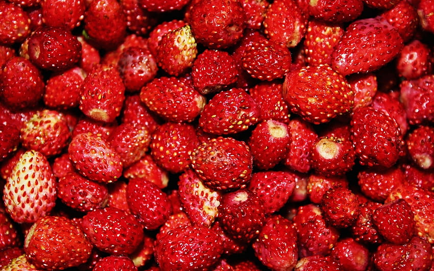 Strawberry, Background HD wallpaper