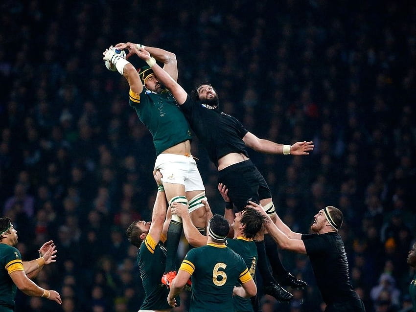 Minute par minute : Afrique du Sud V Nouvelle-Zélande, Rugby Afrique du Sud Fond d'écran HD
