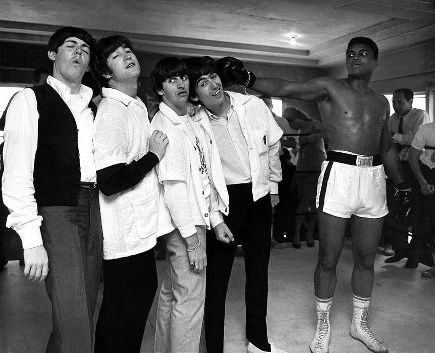 Cassius Clay hits the Beatles, Música pop, Paul McCartney, Cassius Clay, Mohammed Ali, John Lennon, 1964, George Harrison, Boxe, Ringo Starr, Os Beatles papel de parede HD