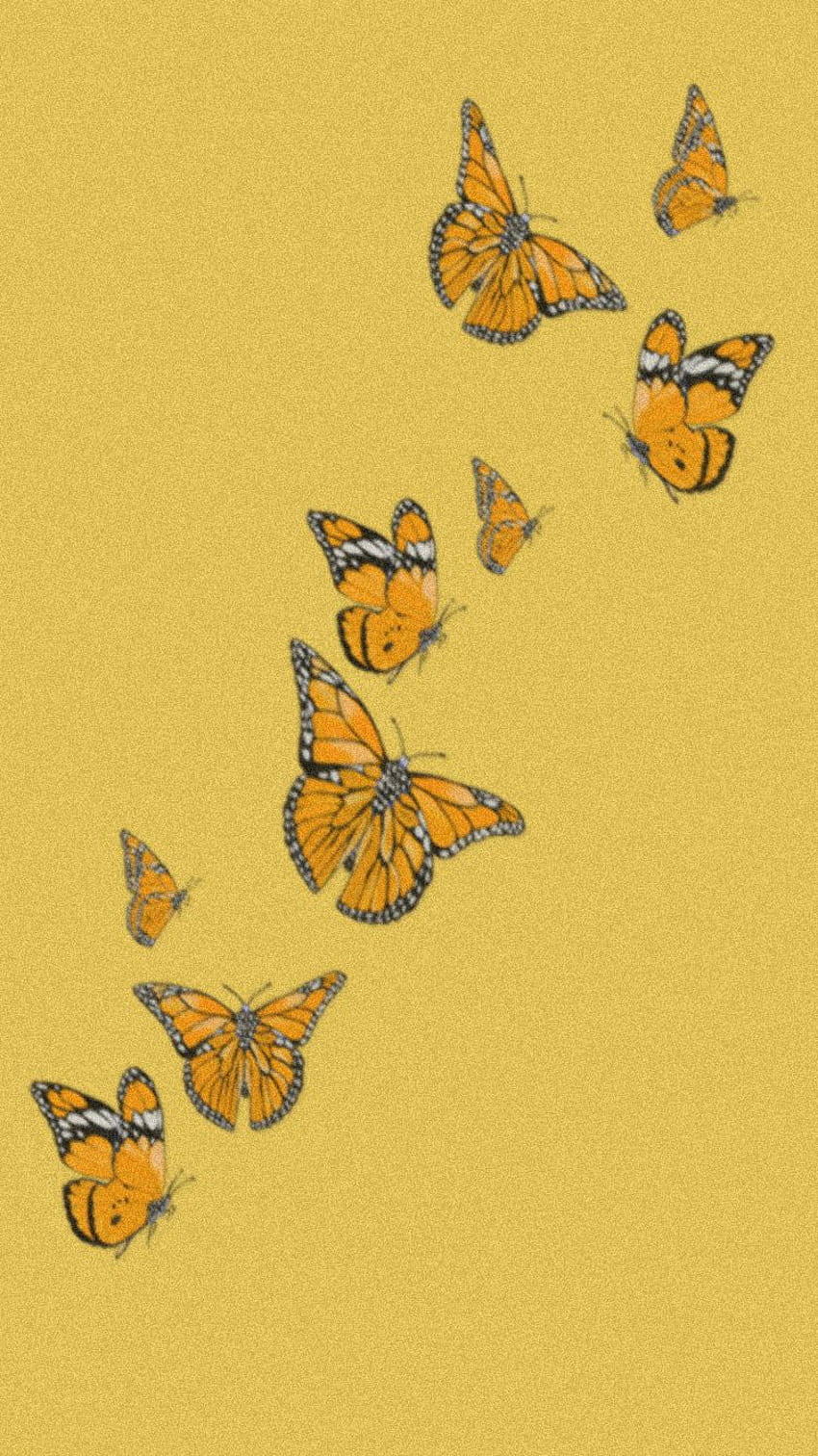 Yellow Butterfly  Beautiful  Aesthetic Wallpaper Download  MobCup