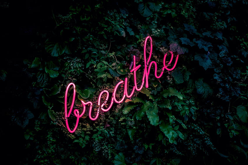Neon, Words, Inscription, Foliage, Breath HD wallpaper