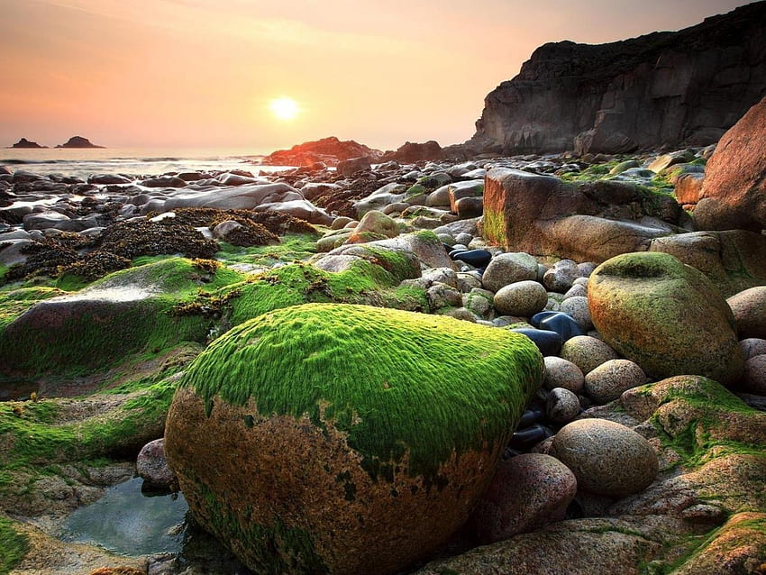 Stones on the edge of the beach, awesome, coast, nice, beach, scenery, scenic, , amazing, water, sea, scene, moss, edge, landscape, beautiful, stones, cool, nature HD wallpaper