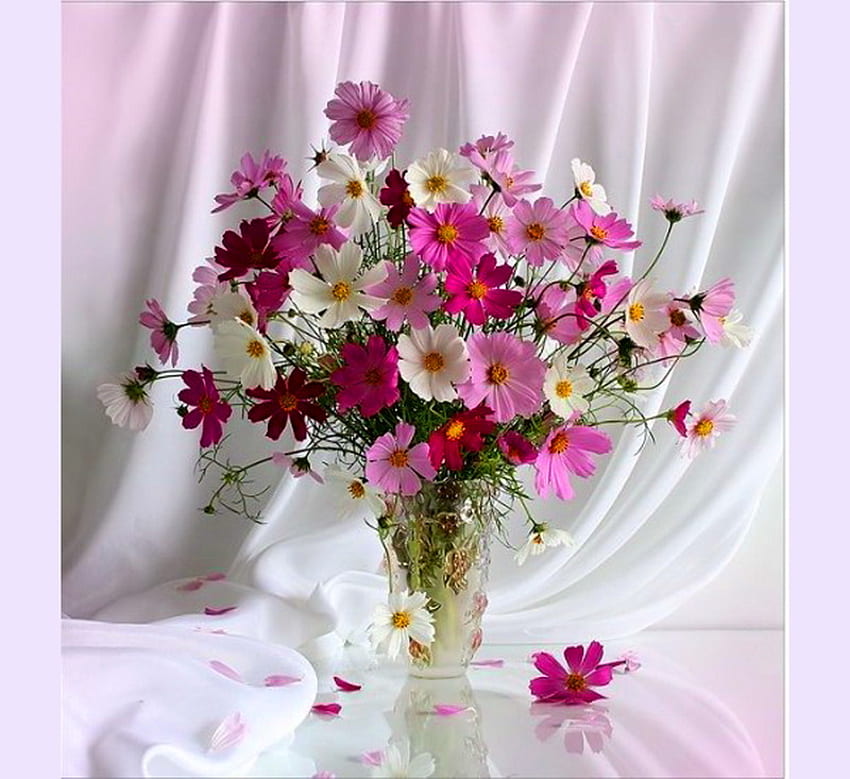 Little bit of pretty, pink, white, drape, petals, vase, flowers, daisies HD wallpaper