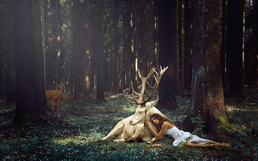 my injured friend, fairy, abstract, fantasy, deer HD wallpaper