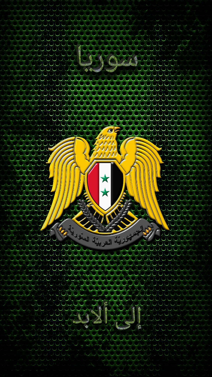 Coat of arms, sayings, symbol, green, arabic, texture, bird, eagle, syria HD phone wallpaper