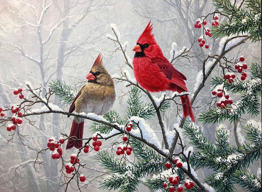Season's Greetings, songbirds, birds, painting, snow, wonter, cardinals HD wallpaper