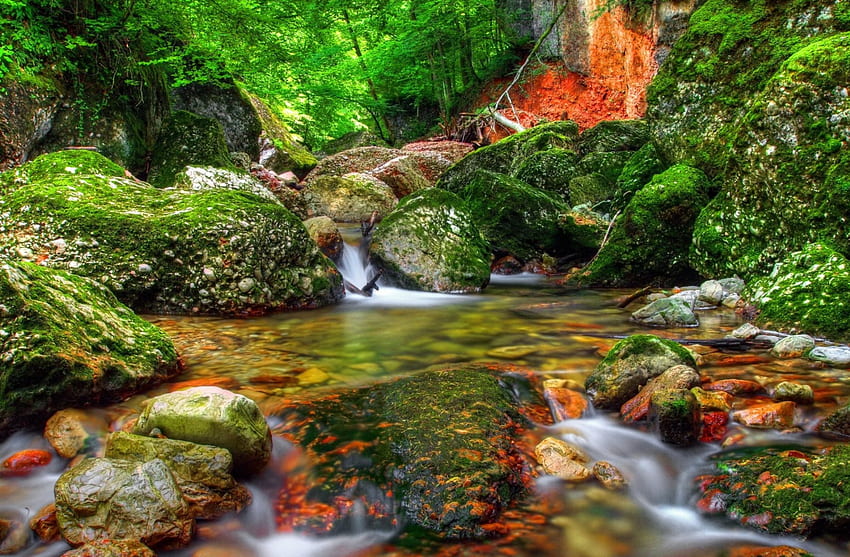 Forest stream, river, creek, nice, greenery, cascades, water, woods, slope, fall, beautiful, stones, summer, falling, flow, pretty, waterfall, nature, lovely, forest, stream HD wallpaper