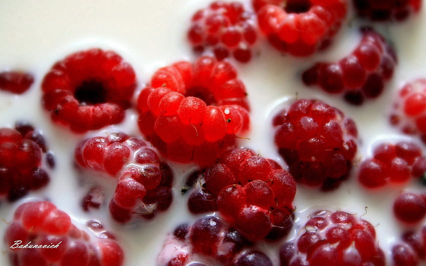 Food, Raspberry, Berry, Milk HD wallpaper