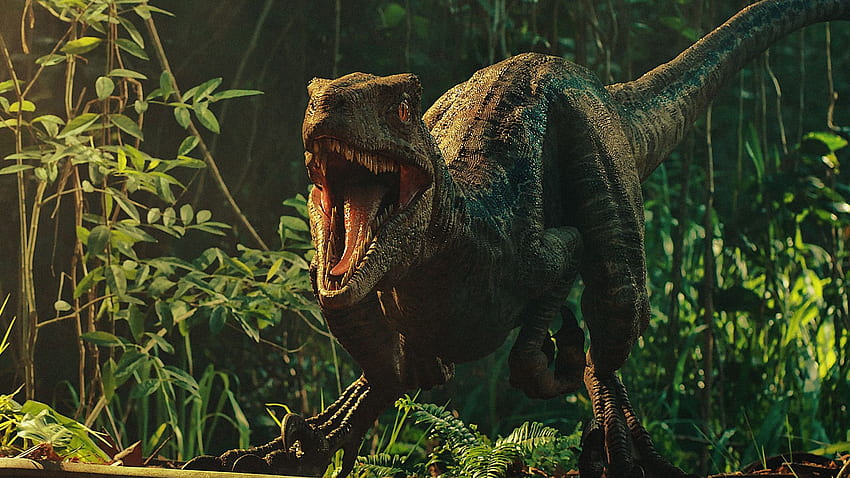 film, jurajski świat: upadłe królestwo, dinozaur, , , tło, 2a8b0d, Google Dinosaur Tapeta HD
