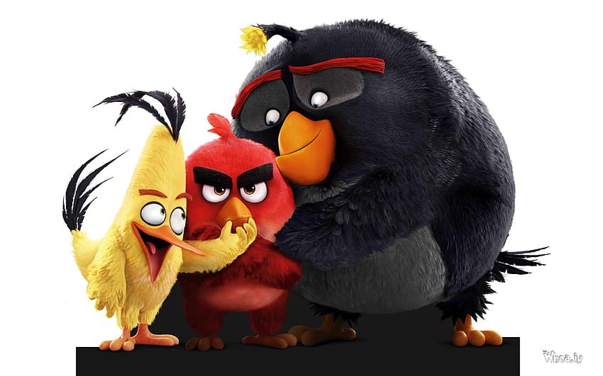 Cartoon Movie - Angry Birds Movie 2016 , Angry Birds Funny HD wallpaper