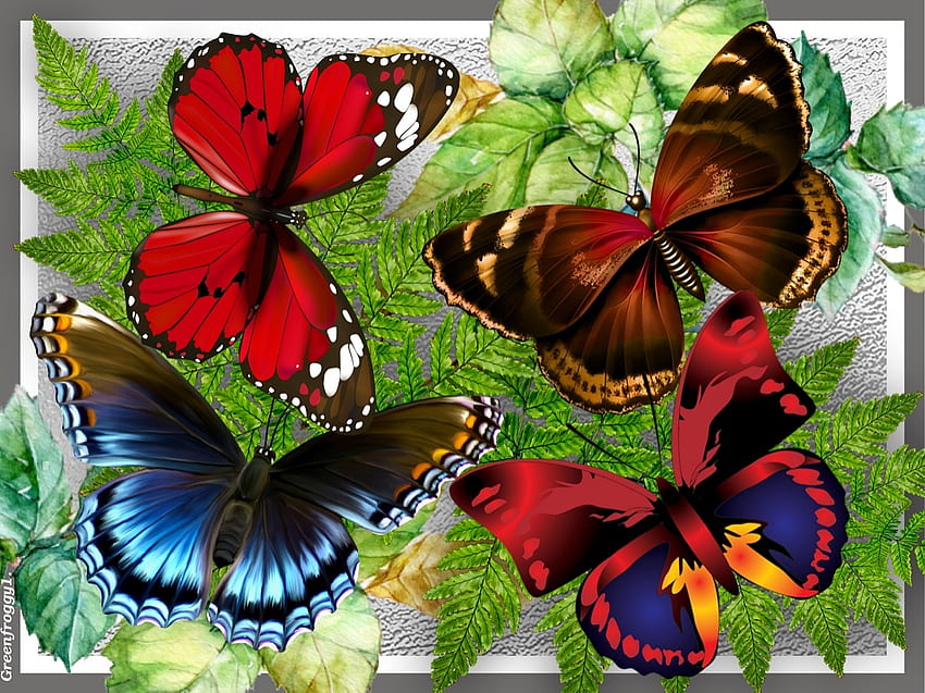 BUTTERFLY COLLAGE, ART, BUTTERLY, COLLAGE, ABSTRACT HD wallpaper | Pxfuel