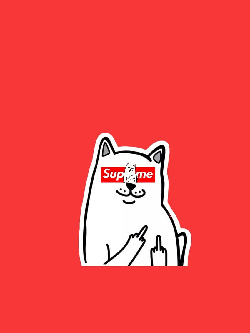 Supreme Cat Middle Finger Supreme HD phone wallpaper