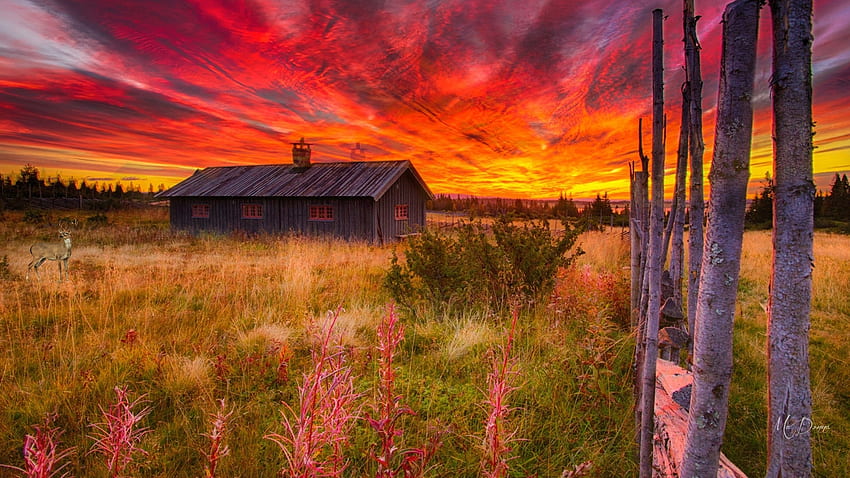Old School House on the Prairie, pradera, escuela, casa, tema de Firefox Persona, amanecer, campo, brillante, cielo, vintage, puesta de sol fondo de pantalla