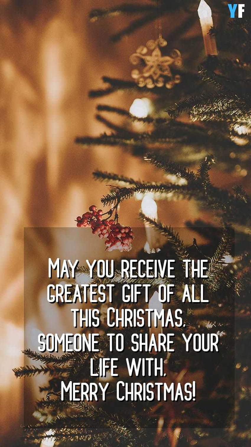 Merry Christmas Wishes, Greeting, Message and, Christmas Blessings HD phone wallpaper