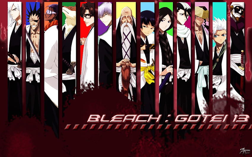 The Gotei 13's captains when we met for the first time in the Soul, Bleach Characters HD wallpaper