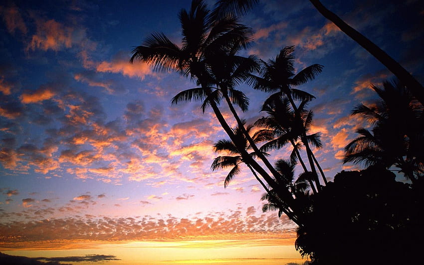 Hawaii Sunset, Aesthetic Hawaii HD wallpaper | Pxfuel