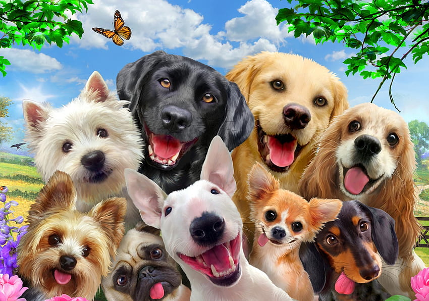 Selfie, animal, dog, summer, funny, caine HD wallpaper