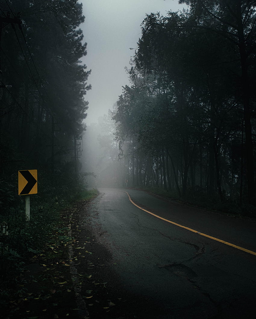 Naturaleza, árboles, carretera, niebla, oscuridad fondo de pantalla del teléfono