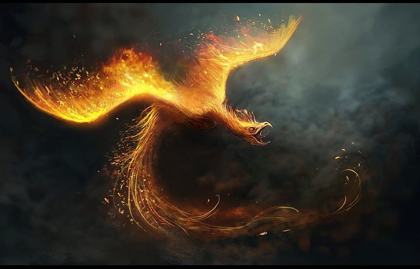 Phönix, Phönix, Feuer, digitale Kunst, Vögel HD-Hintergrundbild
