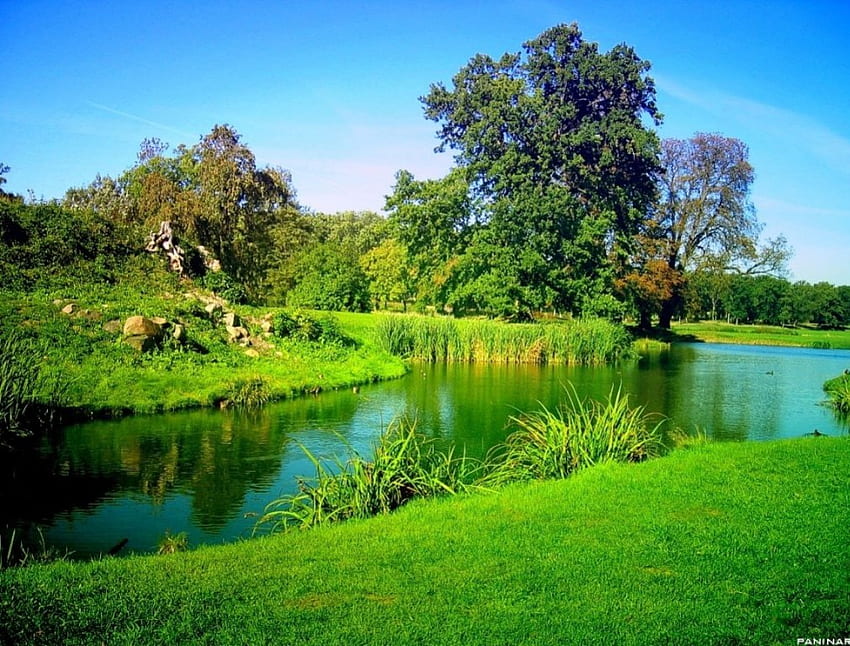 Grüner Garten, Gärten, Wälder HD-Hintergrundbild