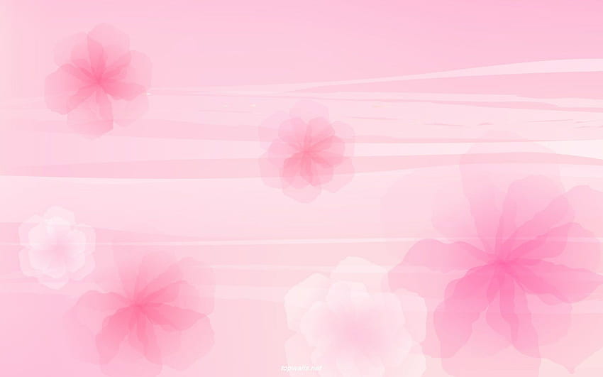 Jasnoróżowy Tło. Różowe kwiaty w tle, różowy kolor, różowe tło, różowy wzór Tapeta HD
