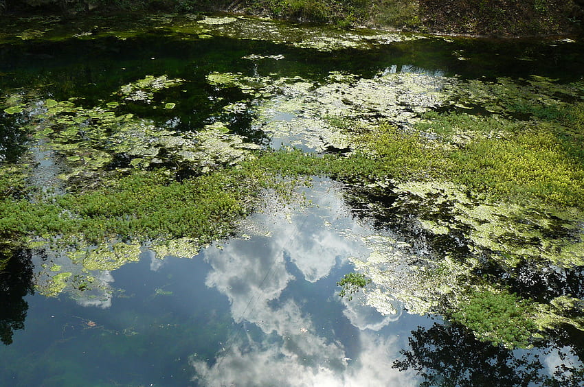 Blue Springs Reflection, niebieski, niebo, przyroda, woda Tapeta HD