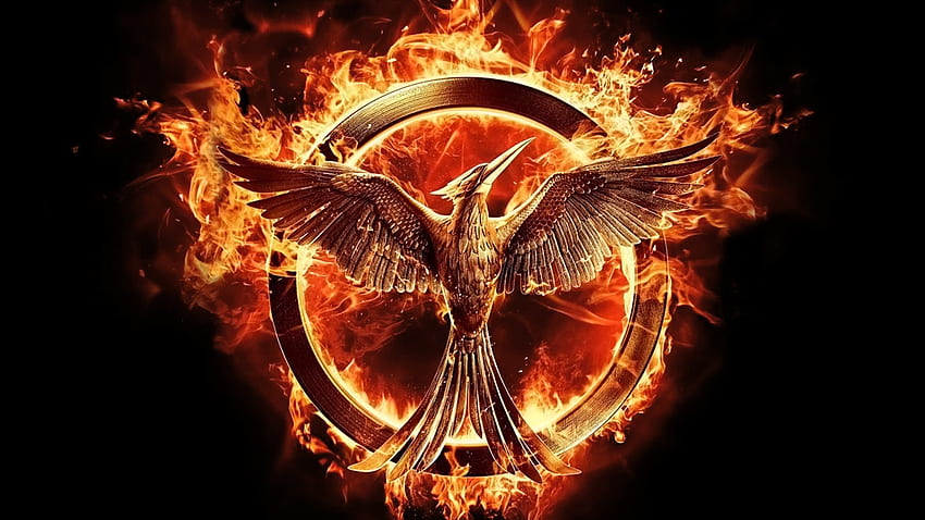 The Hunger Games: Mockingjay - Part 1 สำหรับพื้นหลัง, Hunger Games Computer วอลล์เปเปอร์ HD