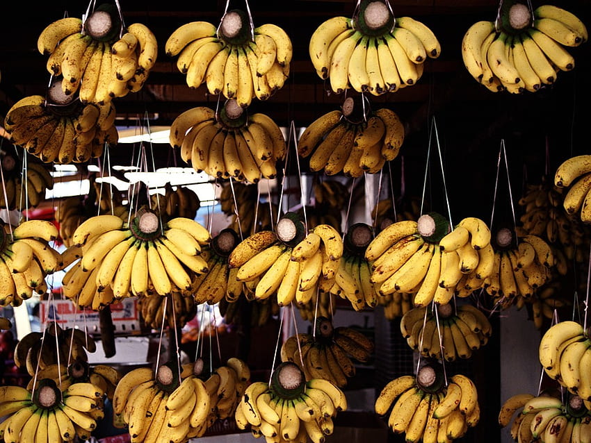 Bananes, sucrées, fruits, jaunes Fond d'écran HD