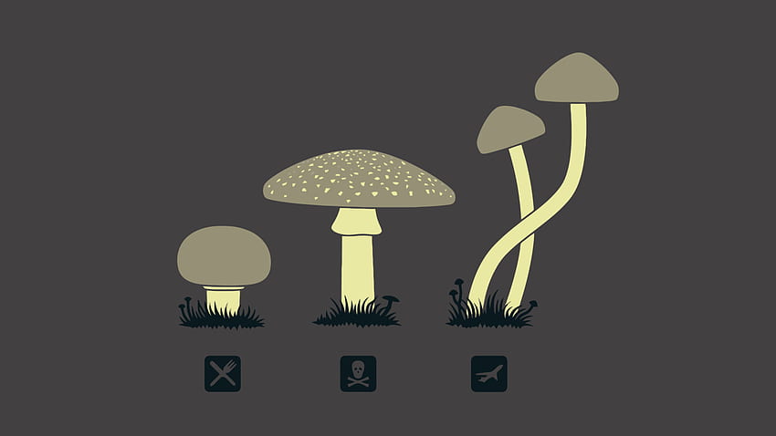 Mushroom Minimalism Laptop Full , , Background, and , Kawaii Mushroom