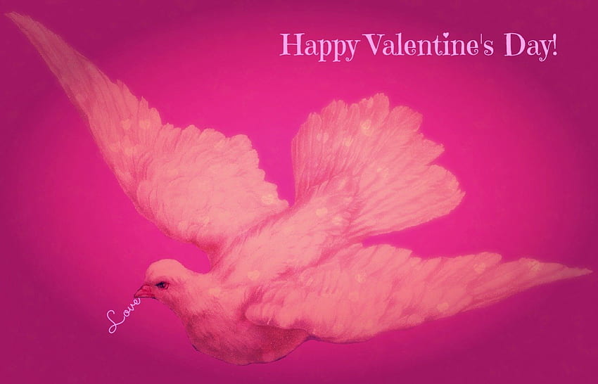 Happy Valentine's day, words, white, dove, messenger, valentine, pink, day, love, happy HD wallpaper