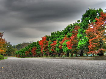 Open road of nature HD wallpapers | Pxfuel