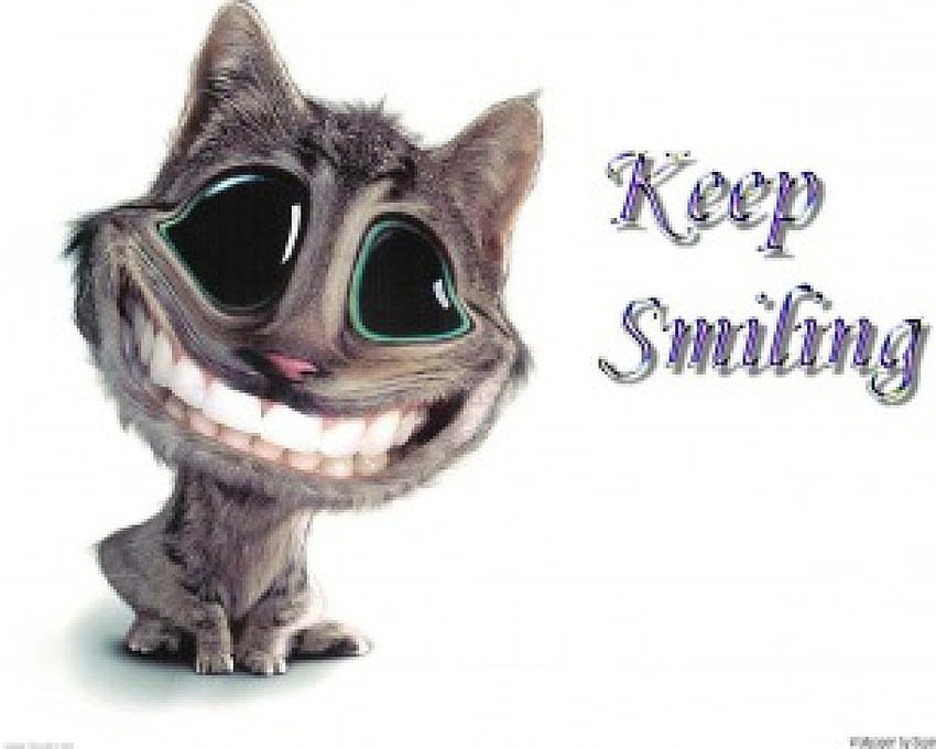 Keep Smiling, cat, smile HD wallpaper
