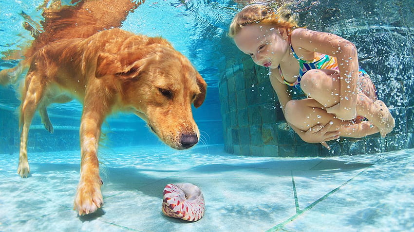 Animals Little girls Dogs Underwater world Pools, Swim Girl HD wallpaper