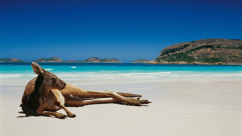 オーストラリアのビーチの背景 高画質の壁紙