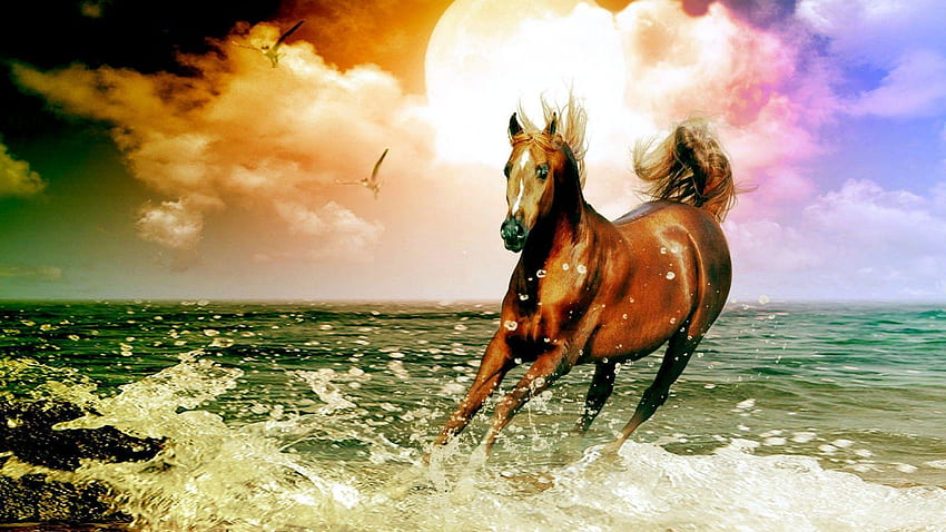 Horses HD wallpaper | Pxfuel