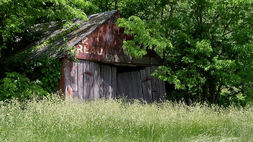 The Farm Bureau Shed, 忘れられた, 古い建物, 農村, 国, 素朴な, ミズーリ州, 緑, 古い, 小屋, 崩壊, 放棄された, 納屋 高画質の壁紙