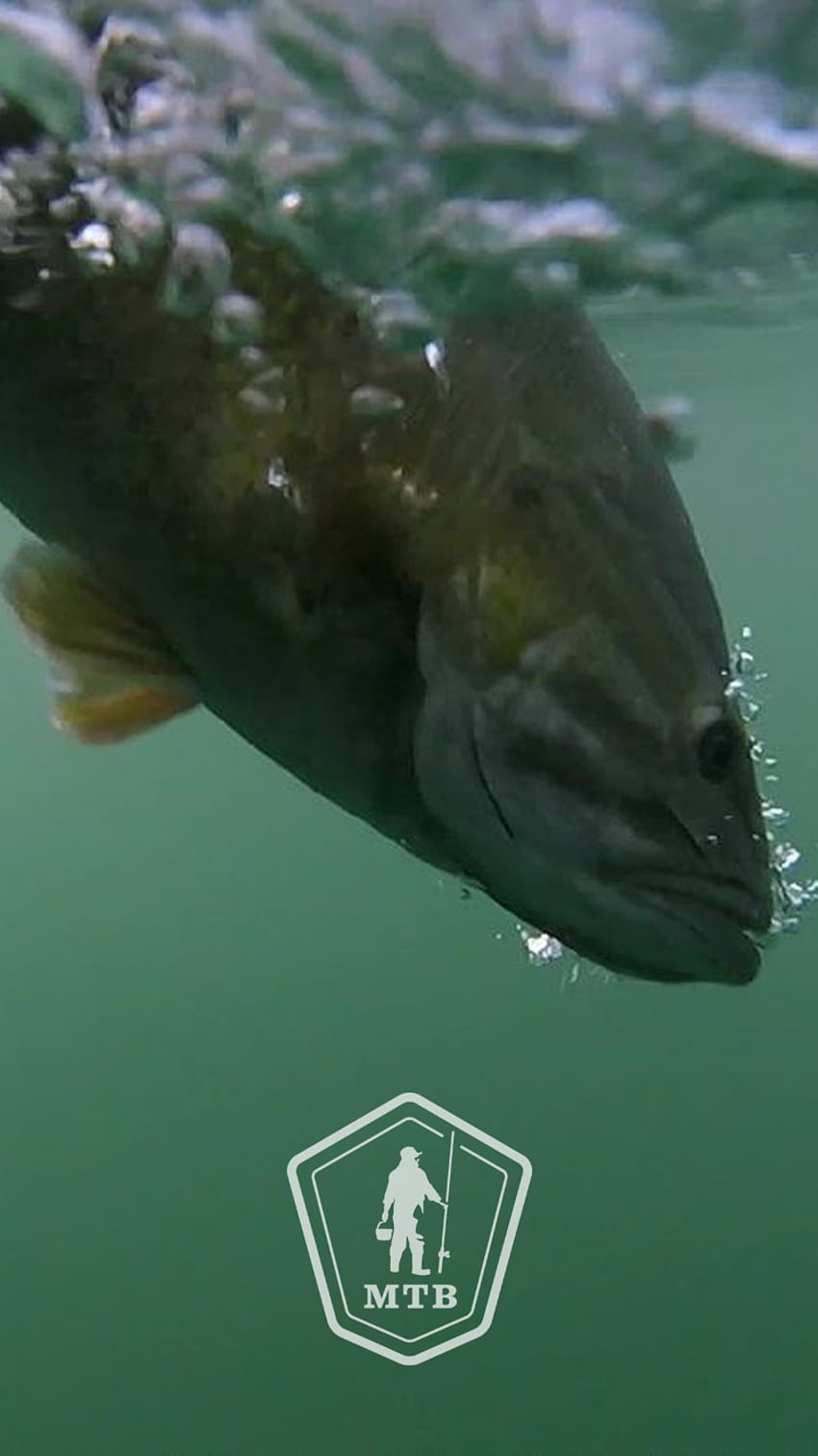 Fly Fishing Iphone Wallpapers  Wallpaper Cave