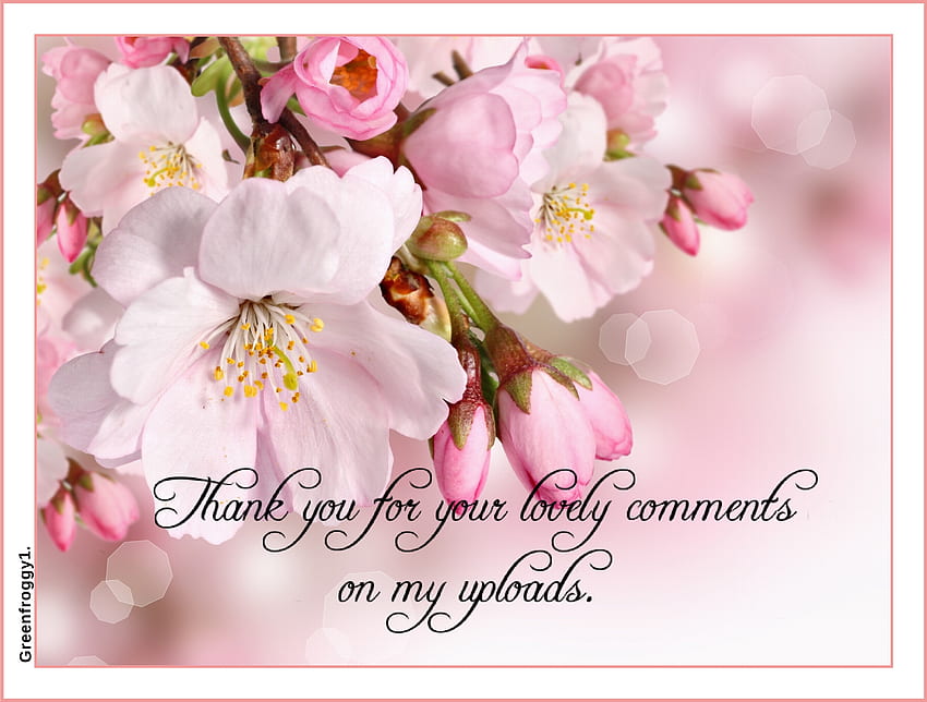 THANK YOU, YOU, THANK, COMMENT, CARD HD wallpaper | Pxfuel