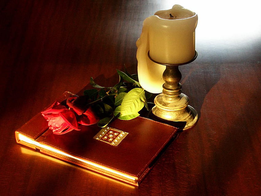 Il mio diario, rosa, tavolo, candela, diario, scrittura, ricordi Sfondo HD
