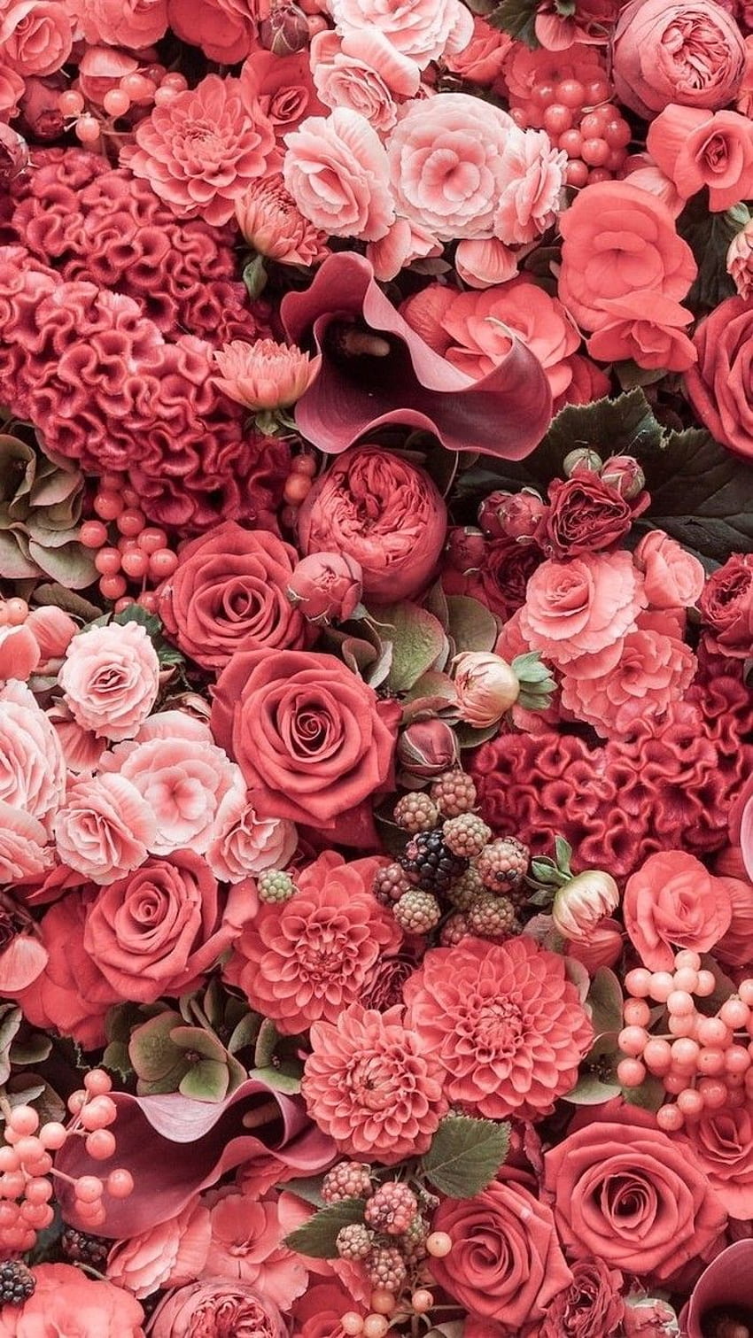 Pink Red Flowers Roses Peonies Spring For Phone In 2020. Pink Iphone, Spring, Floral วอลล์เปเปอร์โทรศัพท์ HD