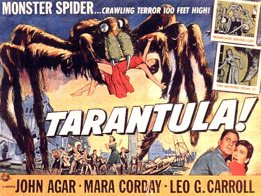 Tarantula!, horror, tarantula, spider, movie HD wallpaper