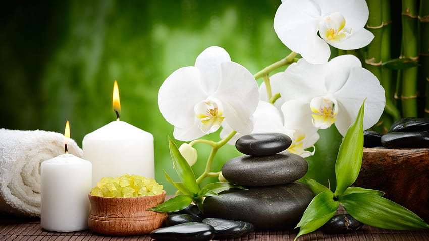 black, flower, massage, orchid, bamboo, spa HD wallpaper