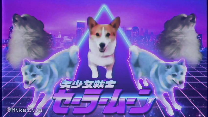 Top Dog Meme Avi & lelucon, Doggo Meme Wallpaper HD
